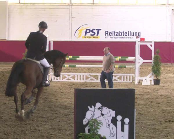 Reitturnier Trier - Hofgut Monaise 2017
