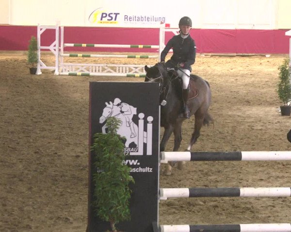 Reitturnier Trier - Hofgut Monaise 2017