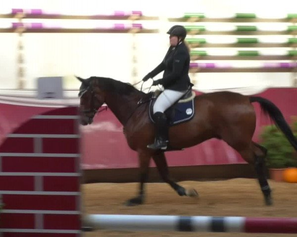 Reitturnier Eicherloh RH Laurent 2017