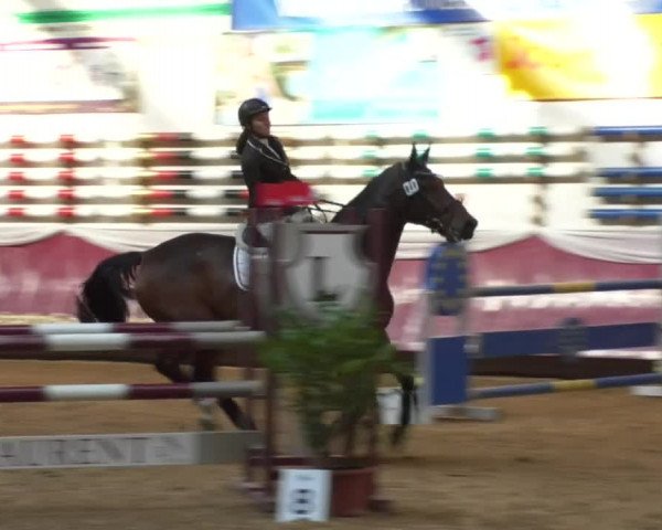 Reitturnier Eicherloh RH Laurent 2017