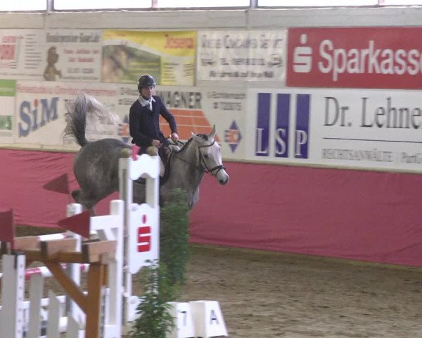 Reitturnier Trier - Hofgut Monaise 2017