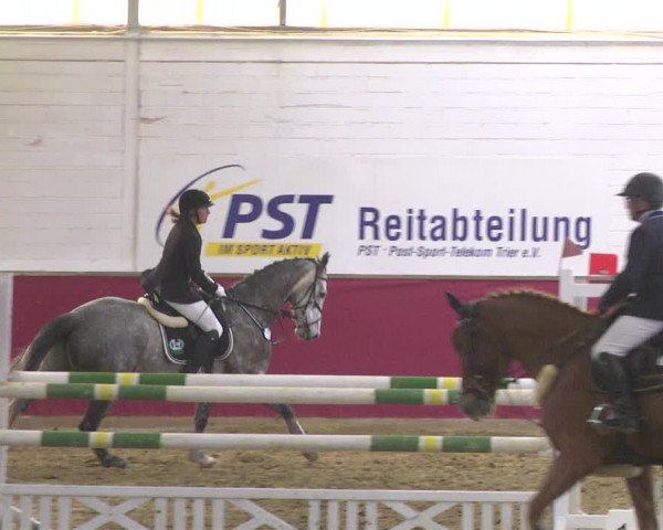 Reitturnier Trier - Hofgut Monaise 2017