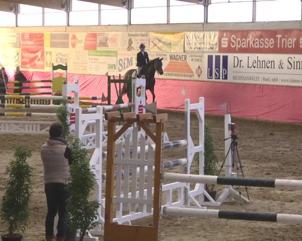 Reitturnier Trier - Hofgut Monaise 2017