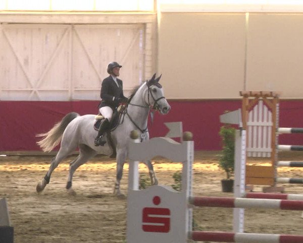 Reitturnier Trier - Hofgut Monaise 2017