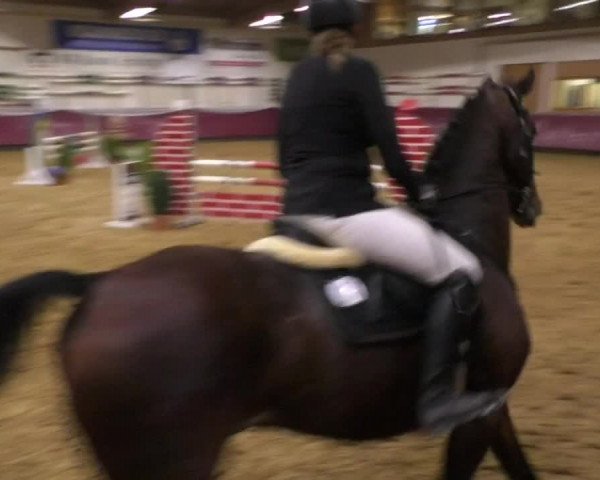 Reitturnier Eicherloh RH Laurent 2017