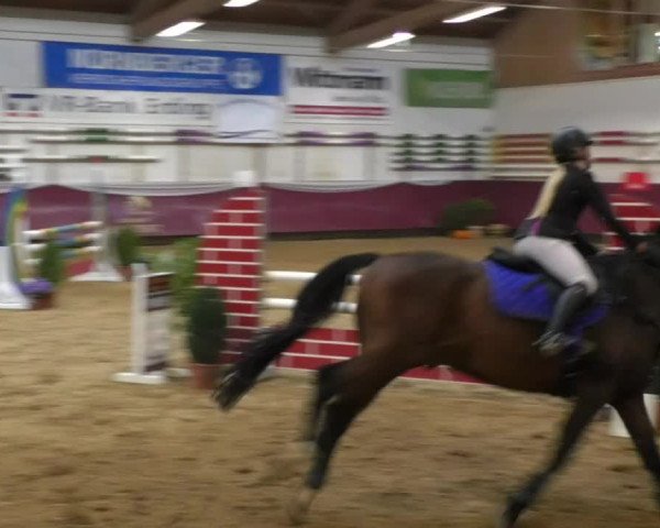 Reitturnier Eicherloh RH Laurent 2017