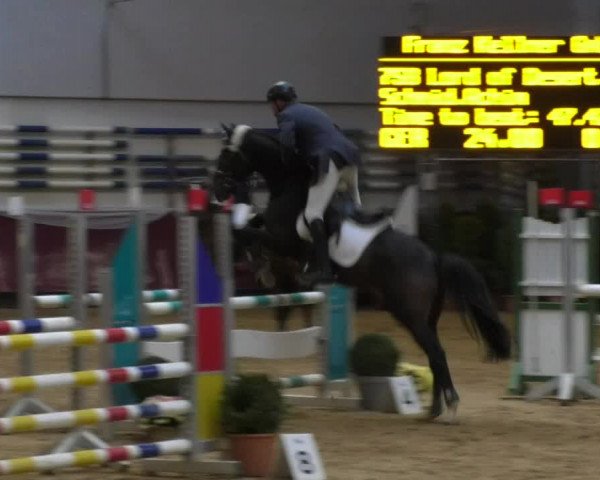Reitturnier Eicherloh RH Laurent 2017