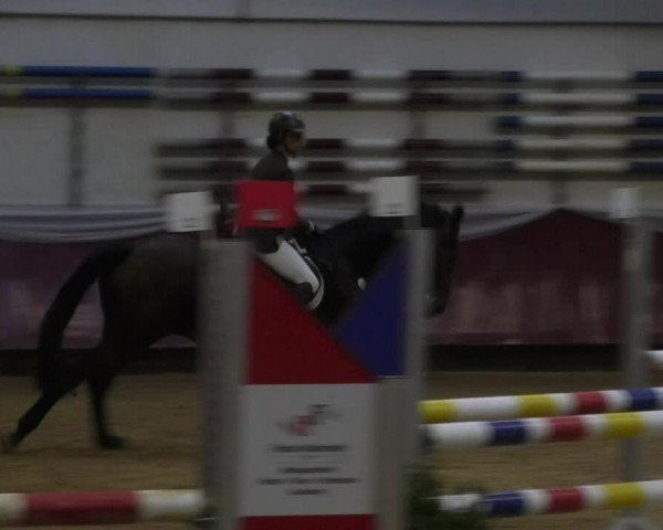 Reitturnier Eicherloh RH Laurent 2017