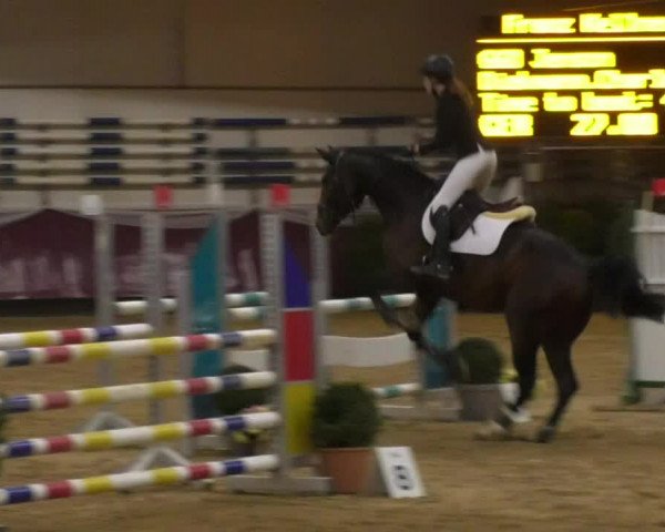 Reitturnier Eicherloh RH Laurent 2017