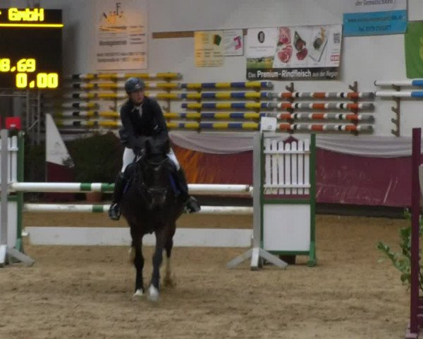 Reitturnier Eicherloh RH Laurent 2017