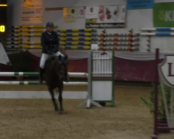 Reitturnier Eicherloh RH Laurent 2017
