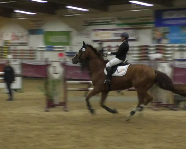 Reitturnier Eicherloh RH Laurent 2017