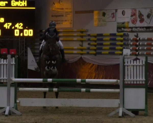 Reitturnier Eicherloh RH Laurent 2017