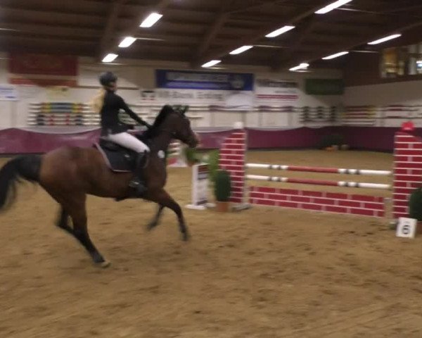 Reitturnier Eicherloh RH Laurent 2017
