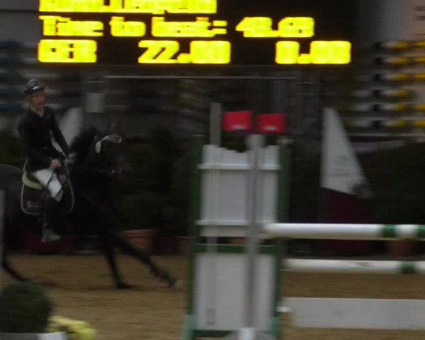 Reitturnier Eicherloh RH Laurent 2017