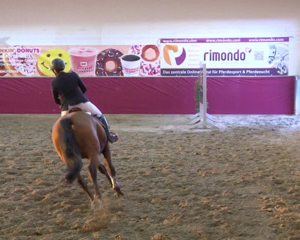 Reitturnier Trier - Hofgut Monaise 2017