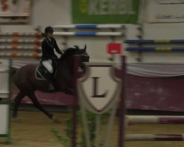 Reitturnier Eicherloh RH Laurent 2017