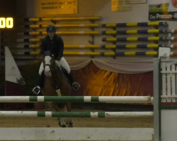 Reitturnier Eicherloh RH Laurent 2017