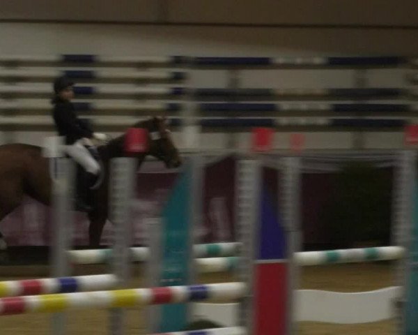 Reitturnier Eicherloh RH Laurent 2017