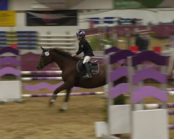 Reitturnier Eicherloh RH Laurent 2017
