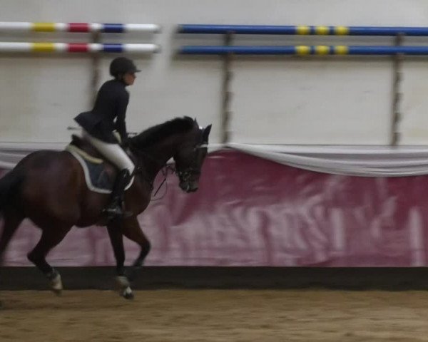 Reitturnier Eicherloh RH Laurent 2017