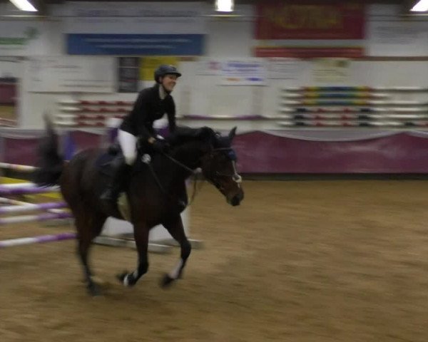 Reitturnier Eicherloh RH Laurent 2017