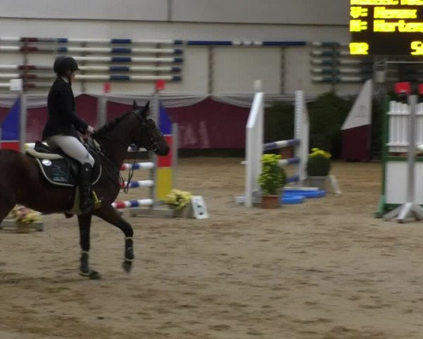 Reitturnier Eicherloh RH Laurent 2017