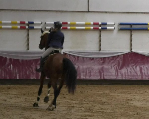 Reitturnier Eicherloh RH Laurent 2017