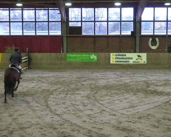 Reitturnier Köln-Leverkusen 2017