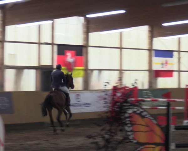 Große Jumping-Trophy Pausin 2021