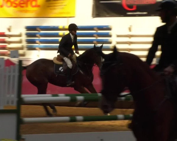 Reitturnier Eicherloh RH Laurent 2017