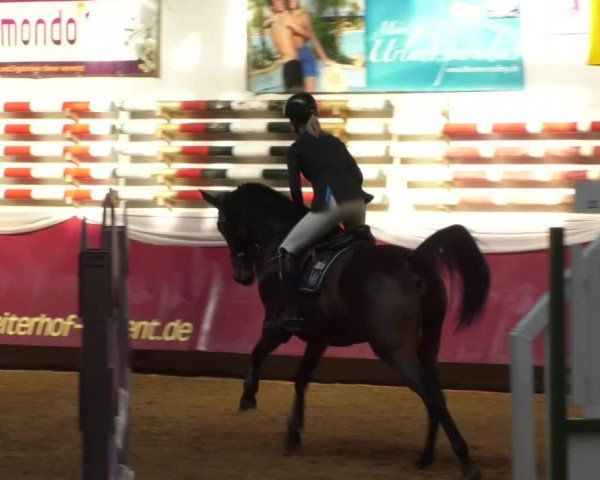 Reitturnier Eicherloh RH Laurent 2017