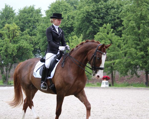Zuchtstute Leyla Blue Wf (Westfale, 2010, von Lissaro)