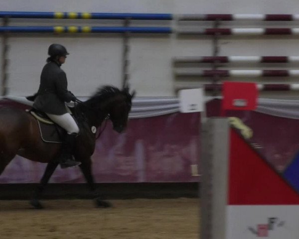 Reitturnier Eicherloh RH Laurent 2017