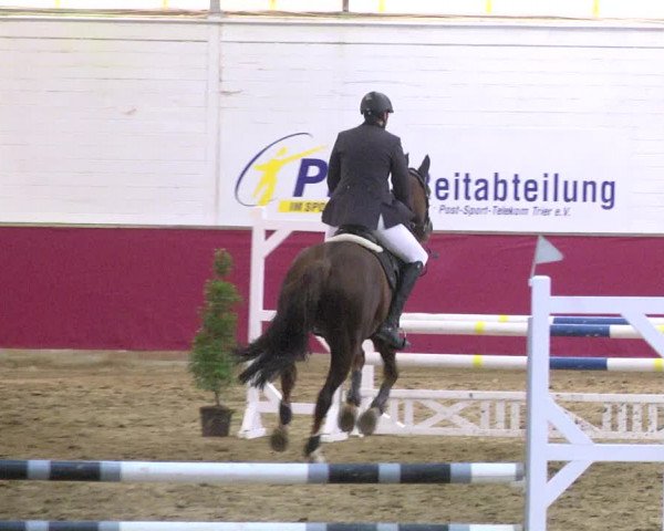 Reitturnier Trier - Hofgut Monaise 2017