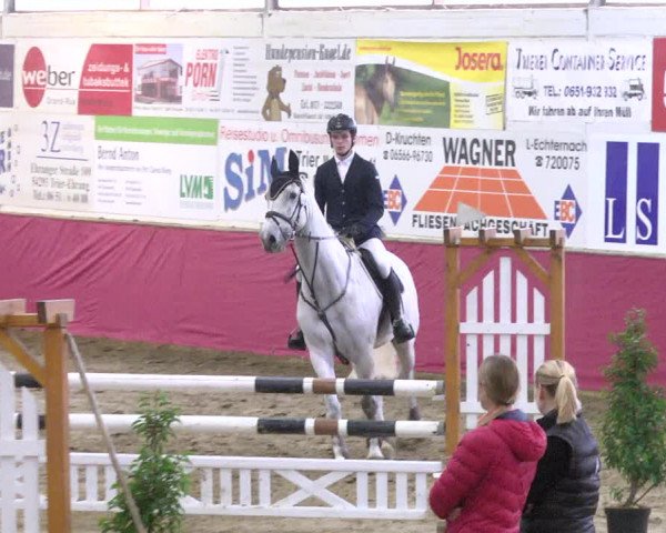 Reitturnier Trier - Hofgut Monaise 2017