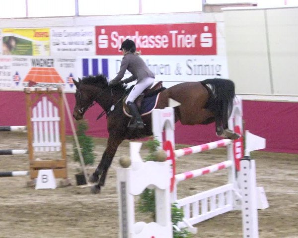 Reitturnier Trier - Hofgut Monaise 2017