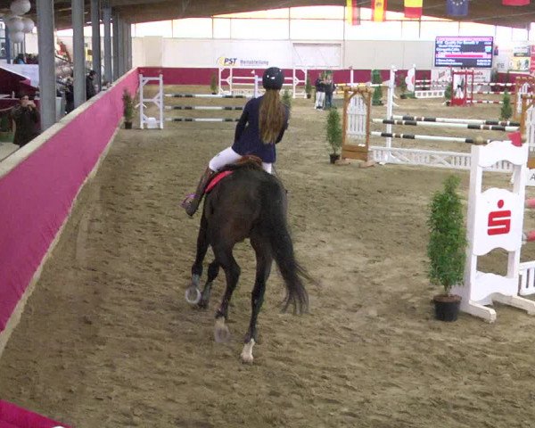 Reitturnier Trier - Hofgut Monaise 2017