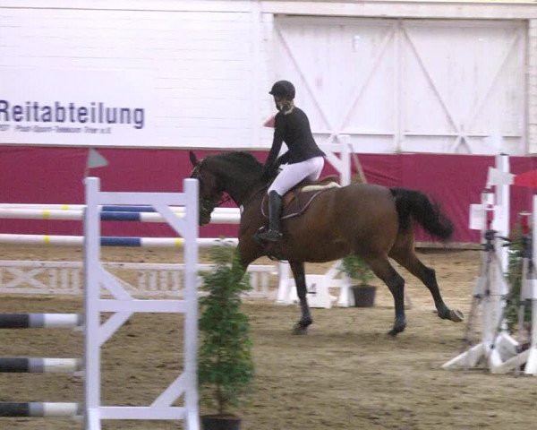 Reitturnier Trier - Hofgut Monaise 2017