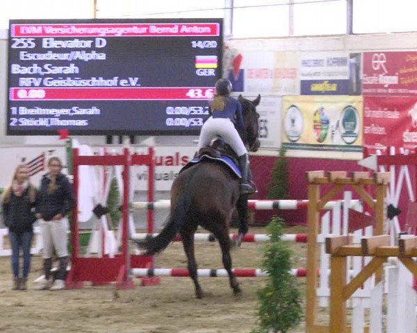 Reitturnier Trier - Hofgut Monaise 2017