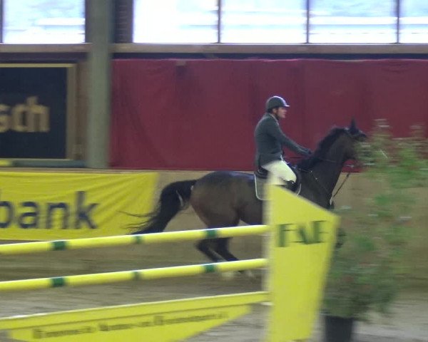 Reitturnier Köln-Leverkusen 2017