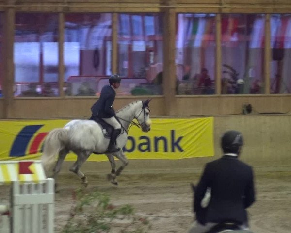 Reitturnier Köln-Leverkusen 2017