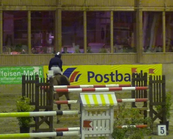 Reitturnier Köln-Leverkusen 2017