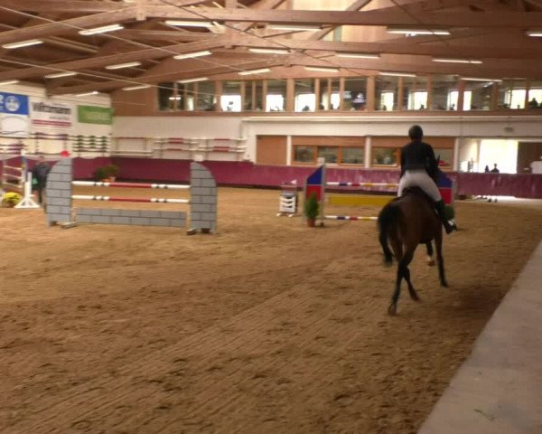 Reitturnier Eicherloh RH Laurent 2017
