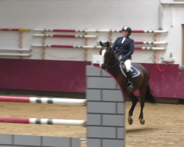 Reitturnier Eicherloh RH Laurent 2017