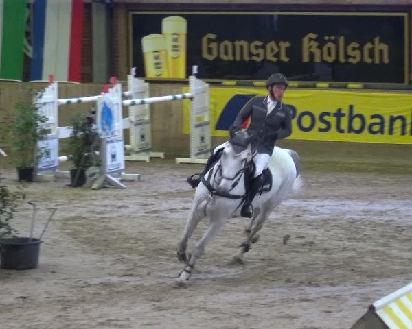 Reitturnier Köln-Leverkusen 2017