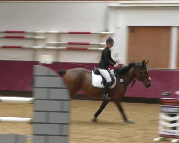 Reitturnier Eicherloh RH Laurent 2017