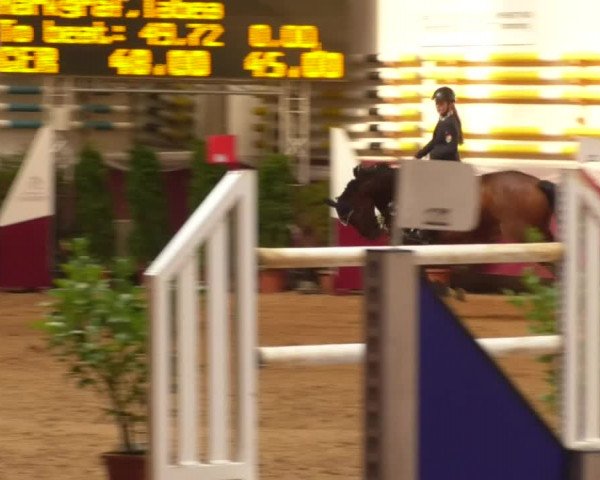 Reitturnier Eicherloh RH Laurent 2017