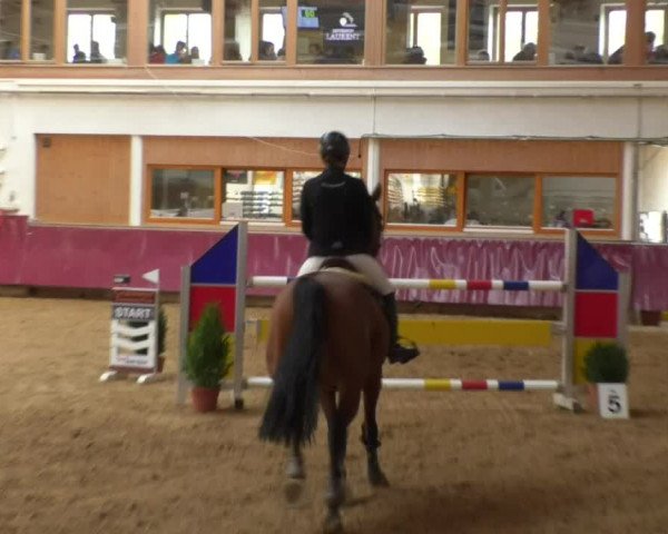 Reitturnier Eicherloh RH Laurent 2017