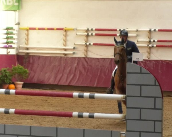 Reitturnier Eicherloh RH Laurent 2017